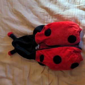 Ladybug costume